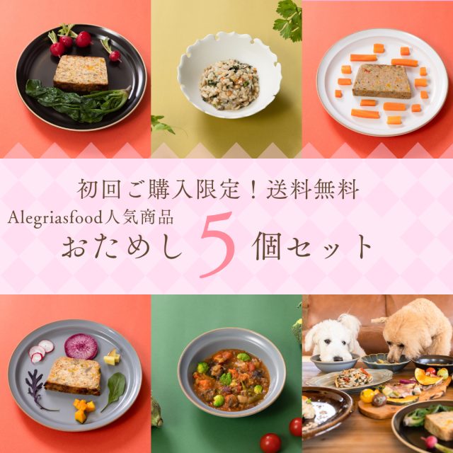 【初回限定】人気５品のお試しセット♪ ☆初回のみ送料無料！（２回目以降は別途送料）